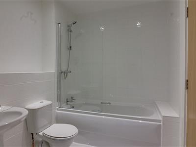 Picture 4